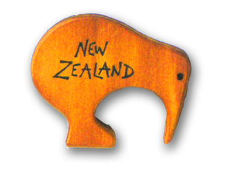 Kiwi PCS Magnet